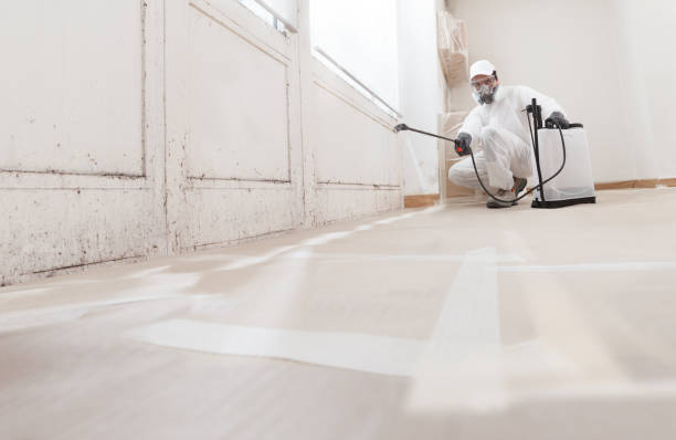 24/7 Emergency Mold Testing experts in Lorton, VA