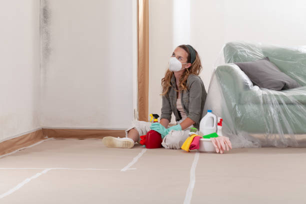 Reliable Mold Testing contractor in Lorton, VA by WQB Mold Removal